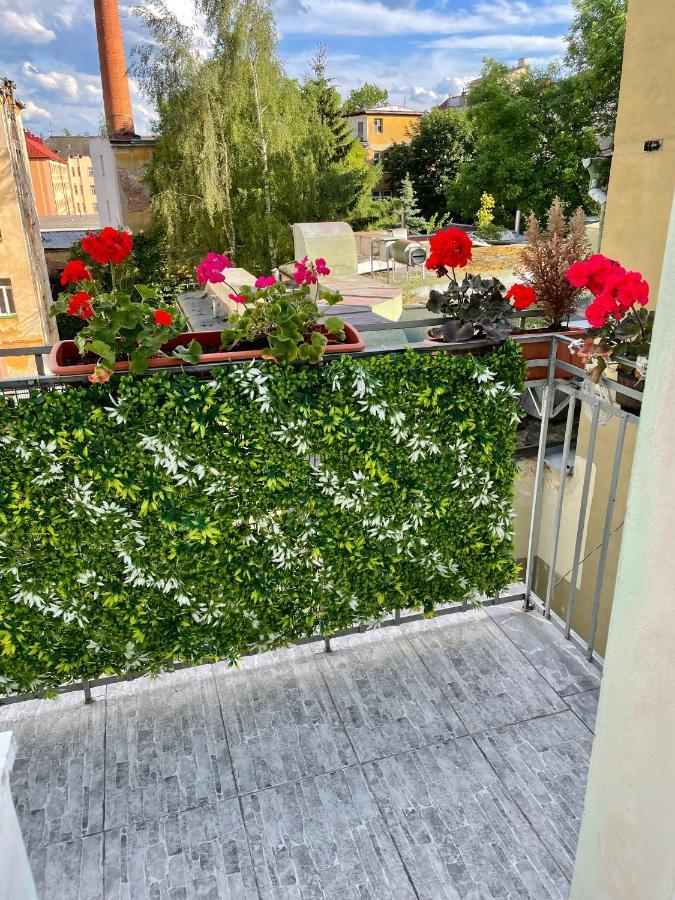 Pension Majovka Cheb Bagian luar foto